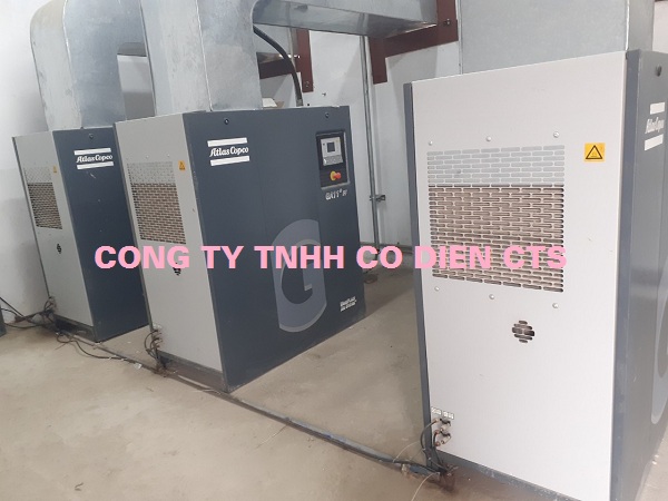 Bảo Dưỡng Máy Nén Khí Trục Vít Có Dầu