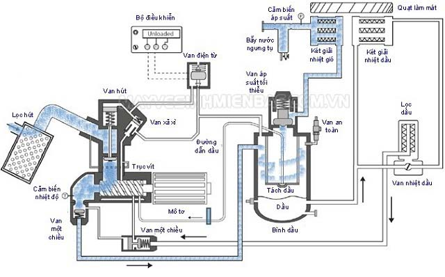 Cấu tạo của máy nén khí trục vít